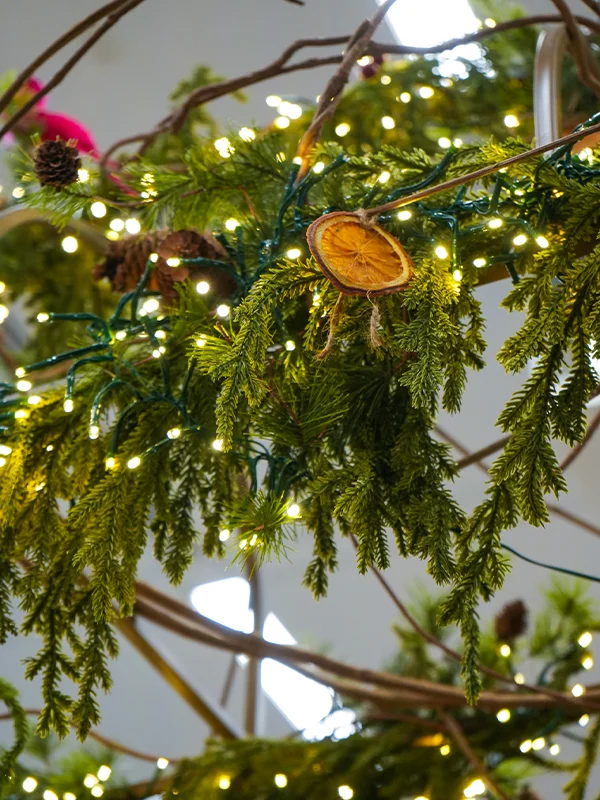 Sparkling lights wrapped around hanging spruce.